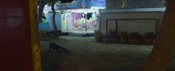 vlcsnap-2022-01-19-14h03m09s664