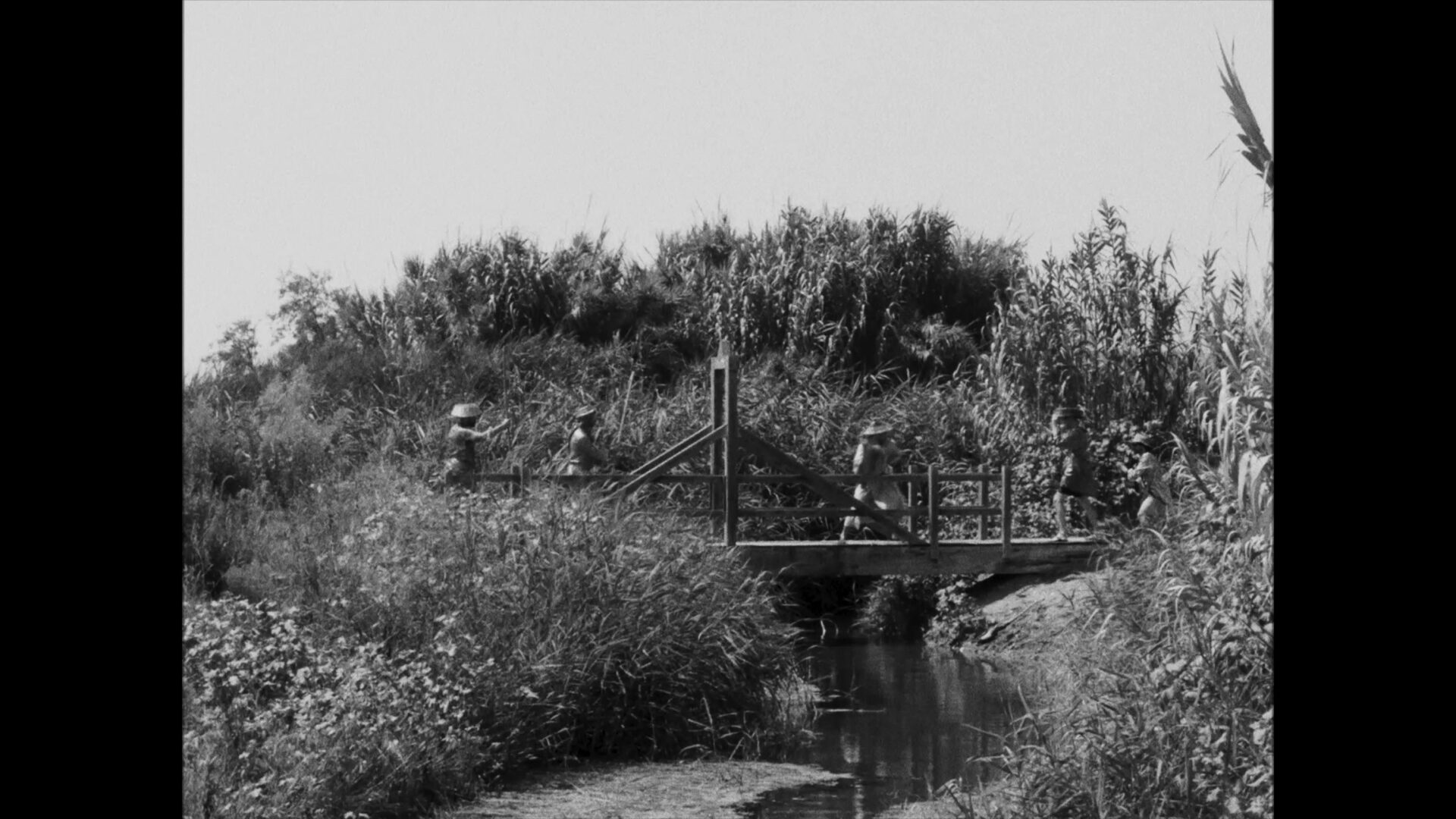 vlcsnap-2022-01-19-18h19m08s850