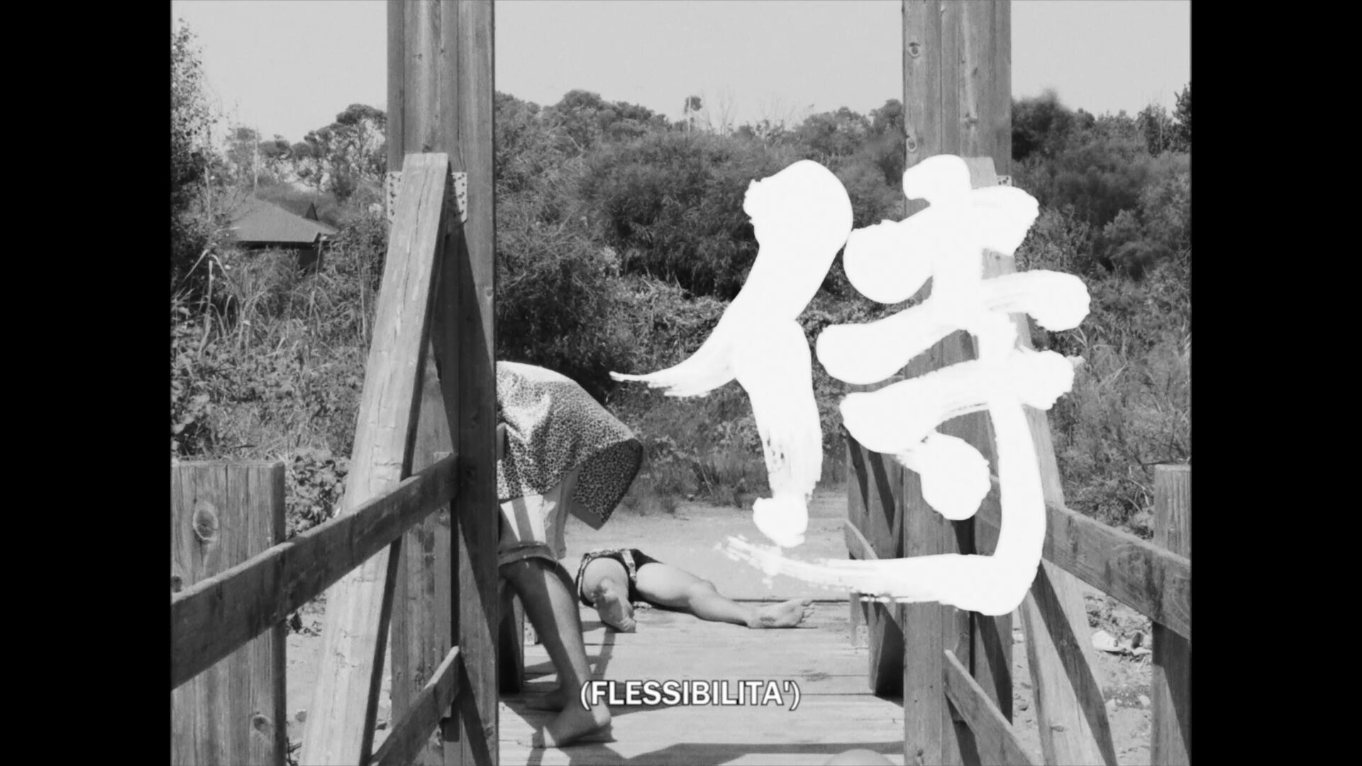 vlcsnap-2022-01-19-18h20m24s165