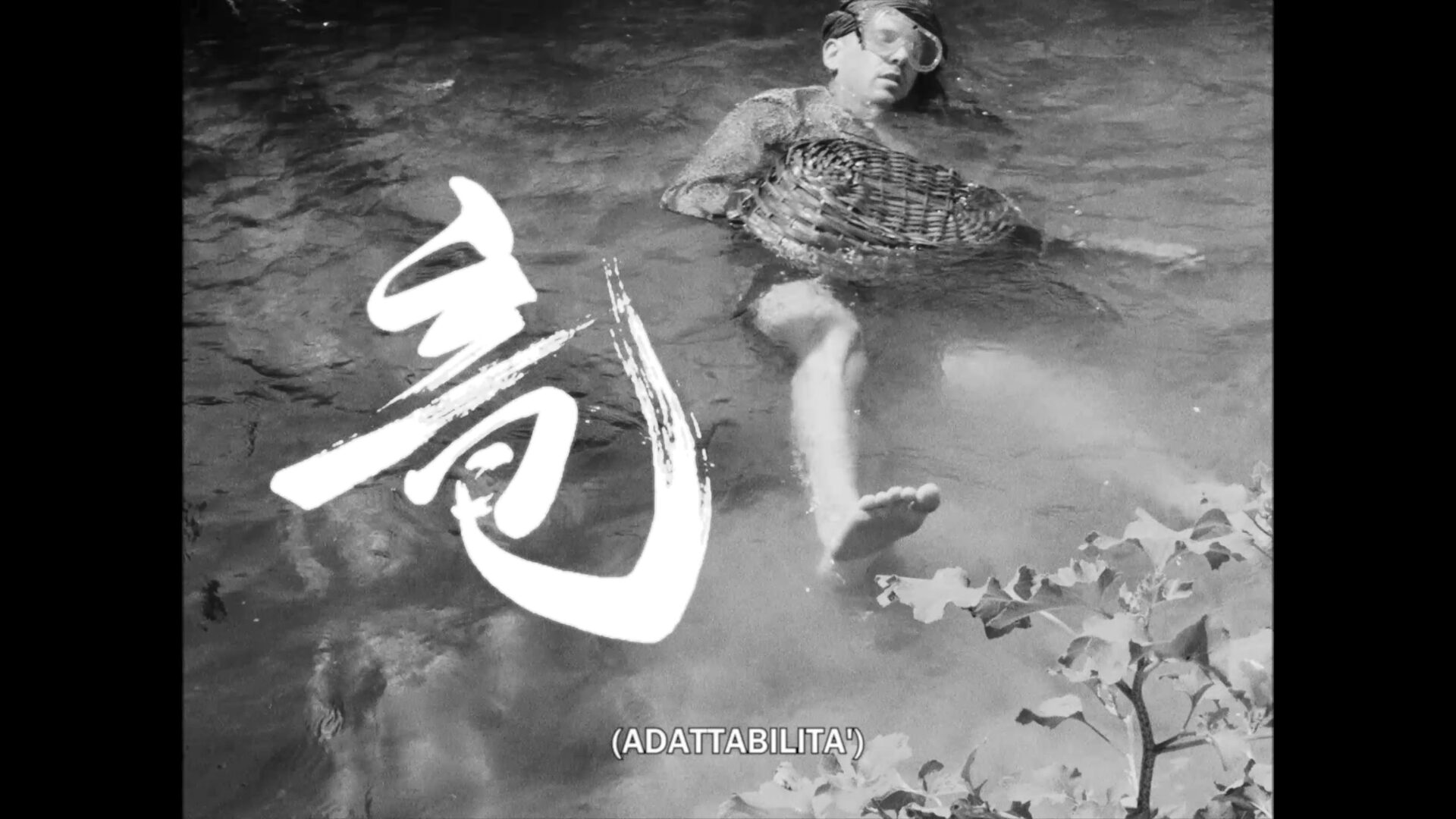 vlcsnap-2022-01-19-18h20m32s952