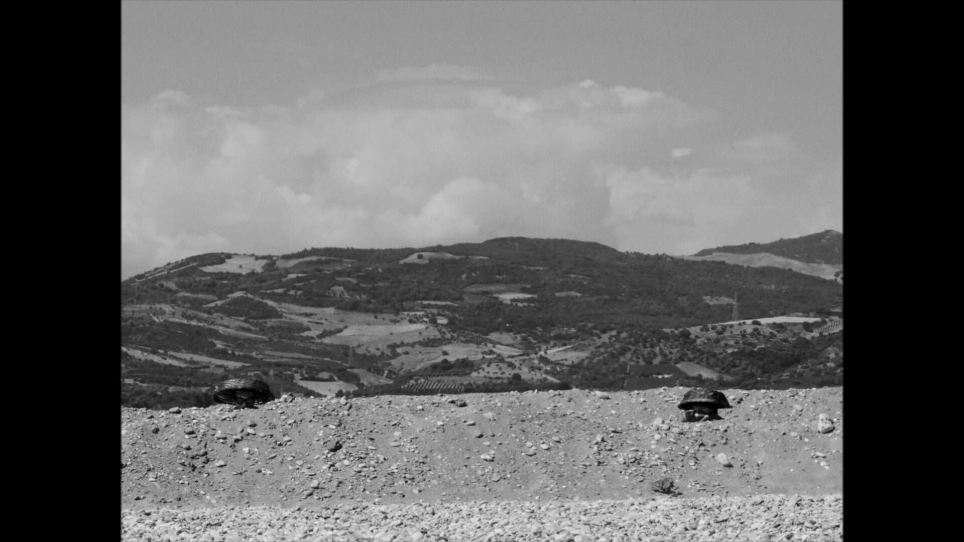 vlcsnap-2022-01-19-18h20m52s341