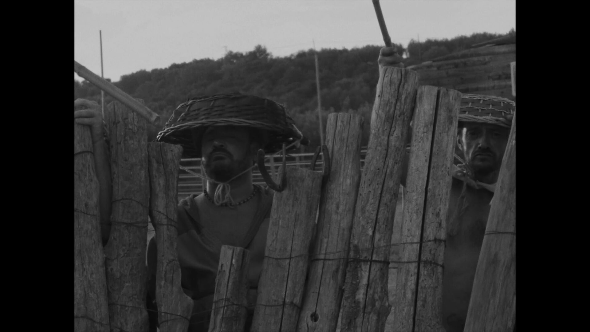 vlcsnap-2022-01-19-18h32m41s184