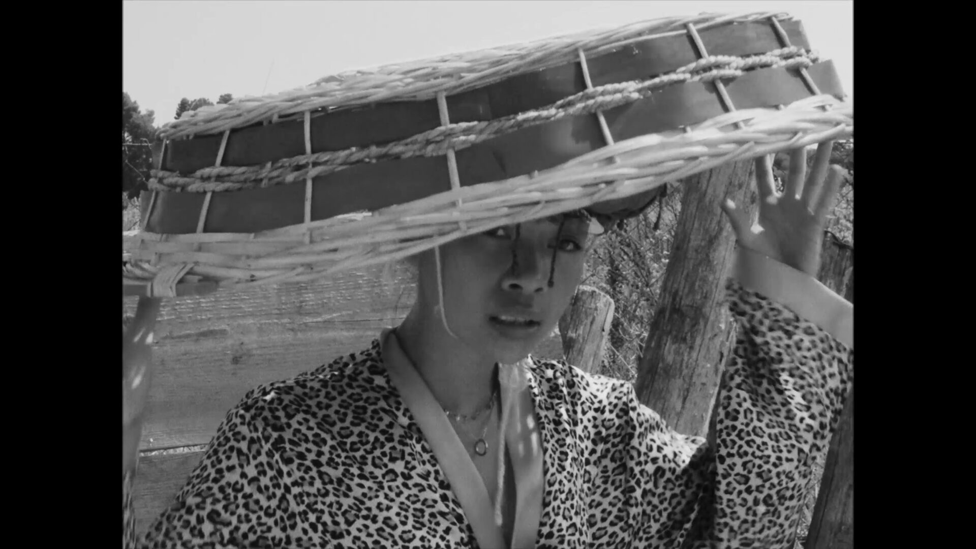 vlcsnap-2022-01-19-18h44m01s168