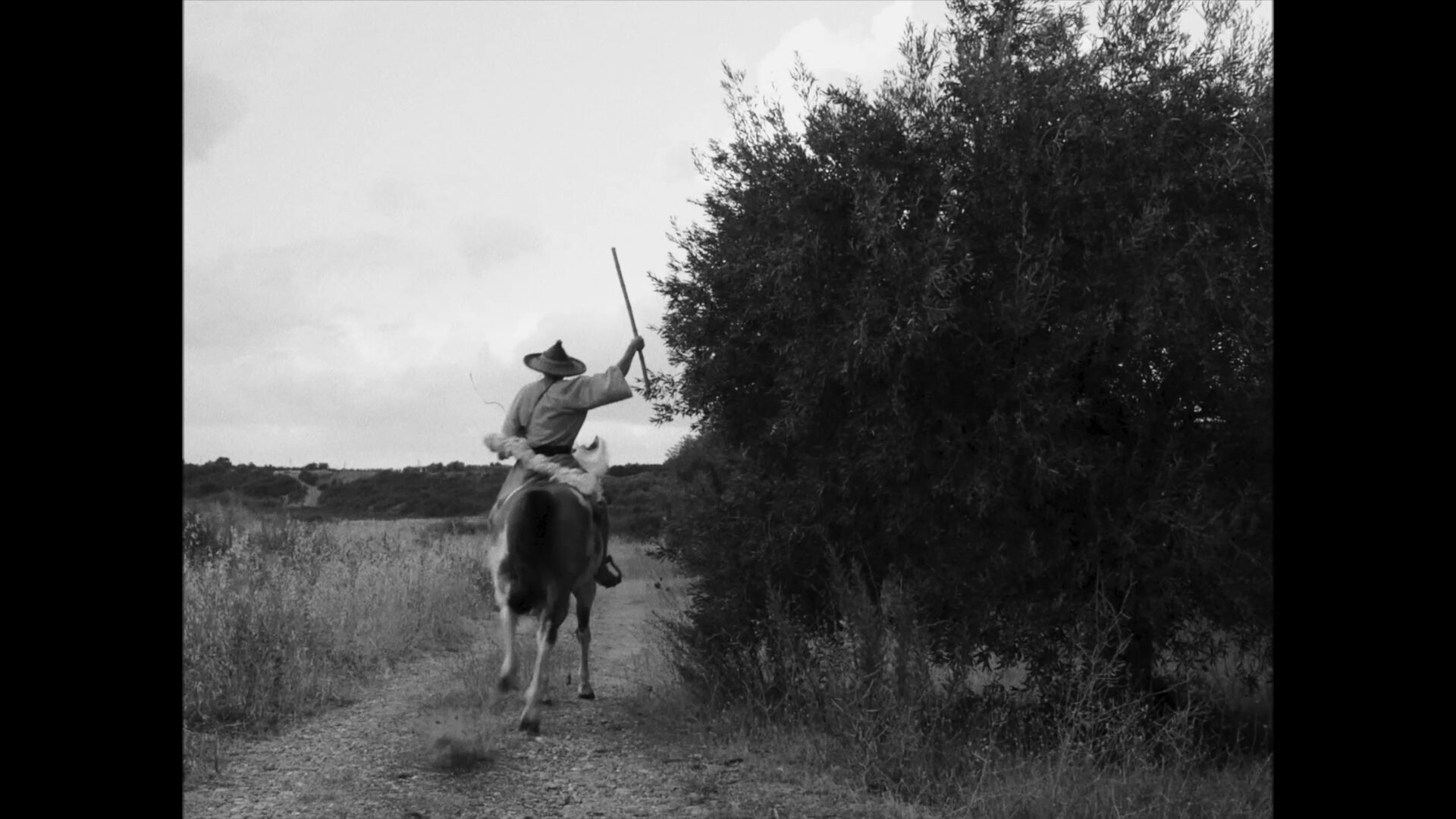 vlcsnap-2022-01-19-18h46m11s974