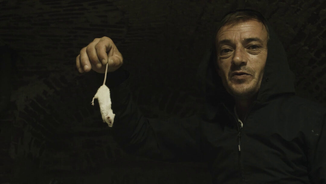 vlcsnap-2022-01-19-13h22m40s697